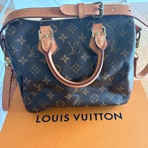 Louis Vuitton Speedy 25 handbag